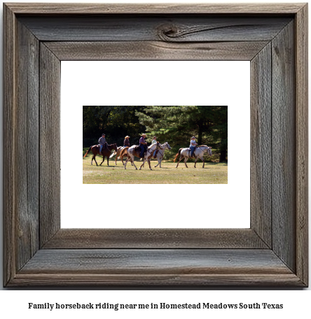 family horseback riding near me in Homestead Meadows South, Texas